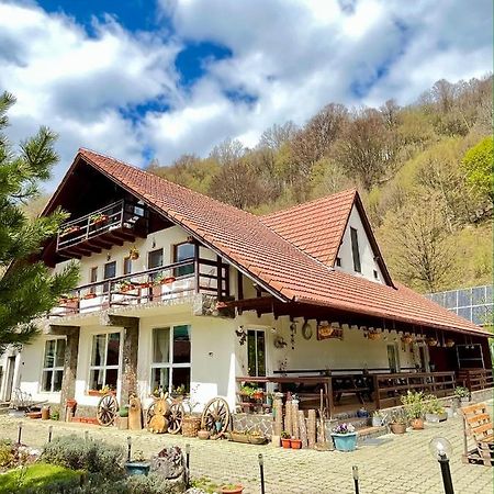 Pensiunea Piatra-Craiului Zărneşti Extérieur photo