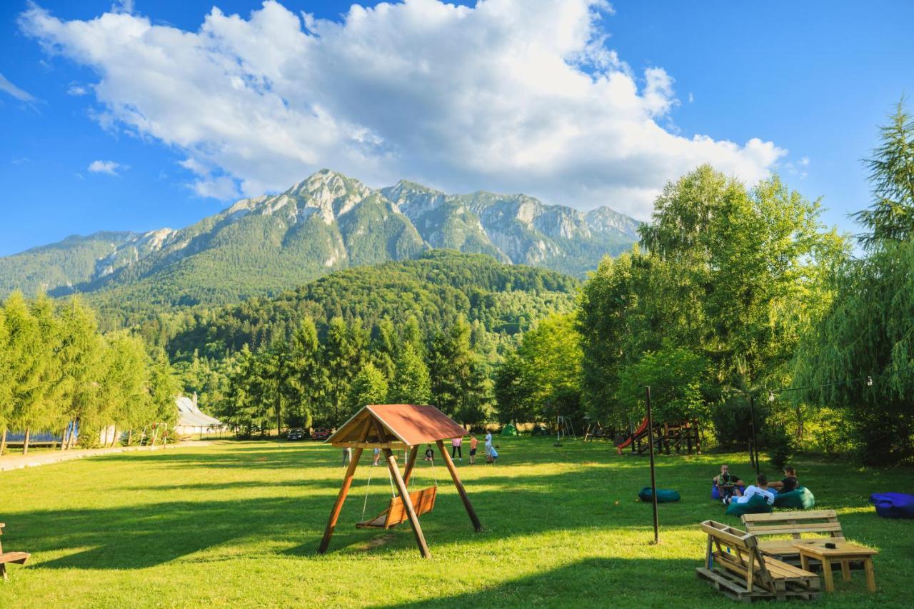Pensiunea Piatra-Craiului Zărneşti Extérieur photo
